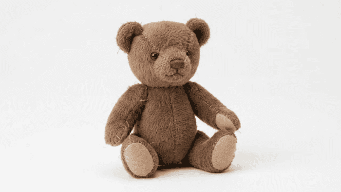 A brown teddy bear plush toy sample